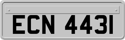 ECN4431