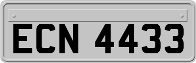 ECN4433