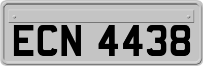 ECN4438