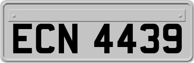 ECN4439