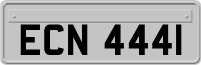 ECN4441