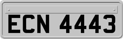 ECN4443