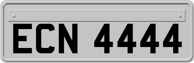 ECN4444