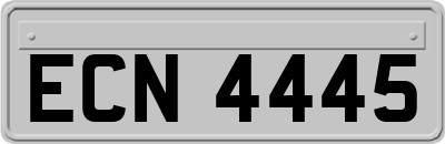 ECN4445