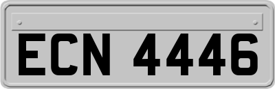 ECN4446