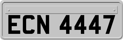 ECN4447