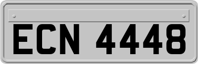 ECN4448