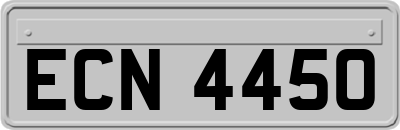 ECN4450