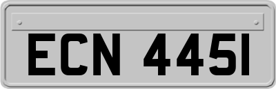 ECN4451