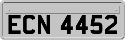 ECN4452