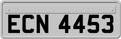 ECN4453