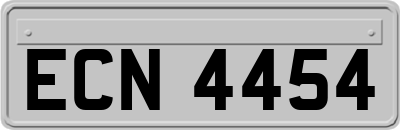 ECN4454
