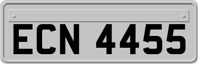 ECN4455
