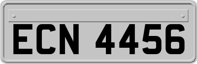 ECN4456