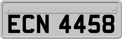 ECN4458