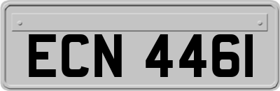ECN4461