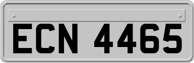 ECN4465