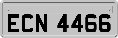 ECN4466