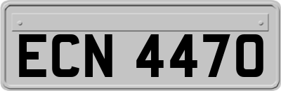 ECN4470