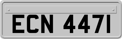 ECN4471