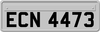 ECN4473