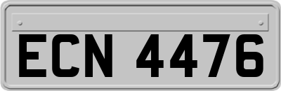 ECN4476