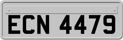 ECN4479