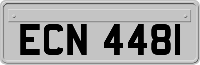 ECN4481