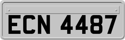 ECN4487