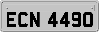 ECN4490