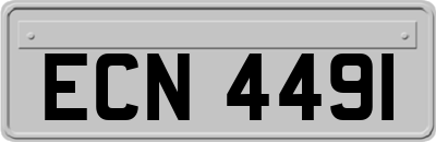 ECN4491