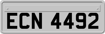 ECN4492
