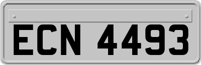 ECN4493