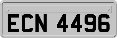 ECN4496