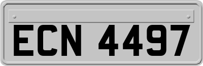 ECN4497