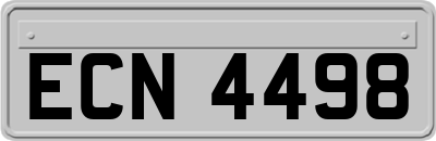ECN4498