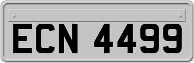 ECN4499