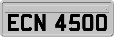 ECN4500