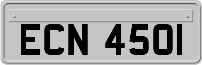 ECN4501