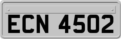 ECN4502