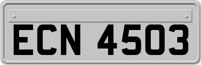 ECN4503