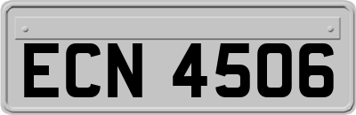 ECN4506