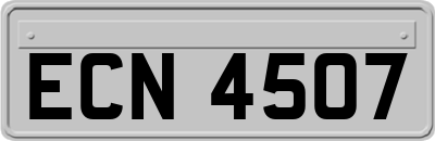 ECN4507