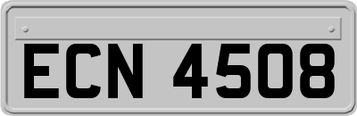 ECN4508