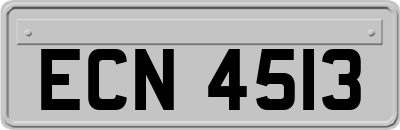 ECN4513