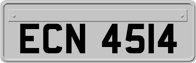 ECN4514