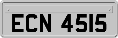 ECN4515