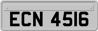 ECN4516