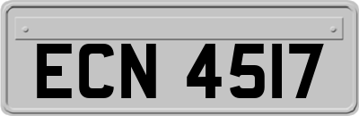 ECN4517