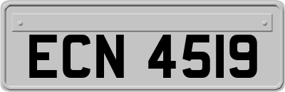 ECN4519